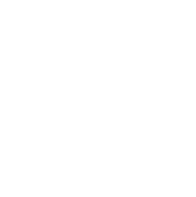 instagram-icon